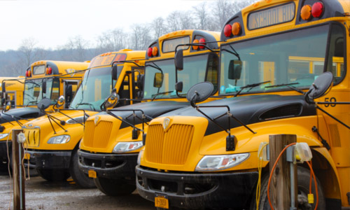 Buses